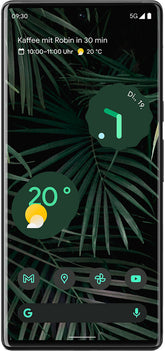 Google Pixel 6 Pro Reparatur Amani TMS GmbH