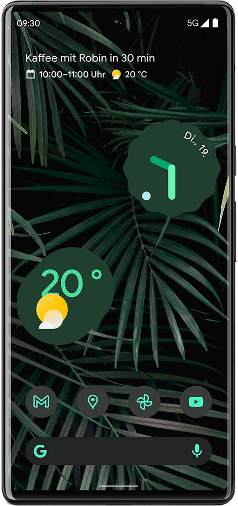 Google Pixel 6 Pro Reparatur Amani TMS GmbH