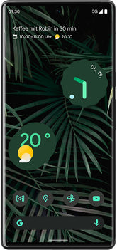 Google Pixel 6 Pro Reparatur