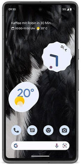 Google Pixel 8a Reparatur