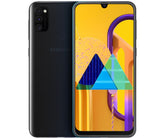 Samsung Galaxy M30s Reparatur